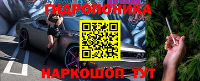 МДПВ Кингисепп
