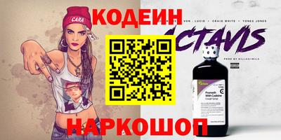 МДПВ Кингисепп
