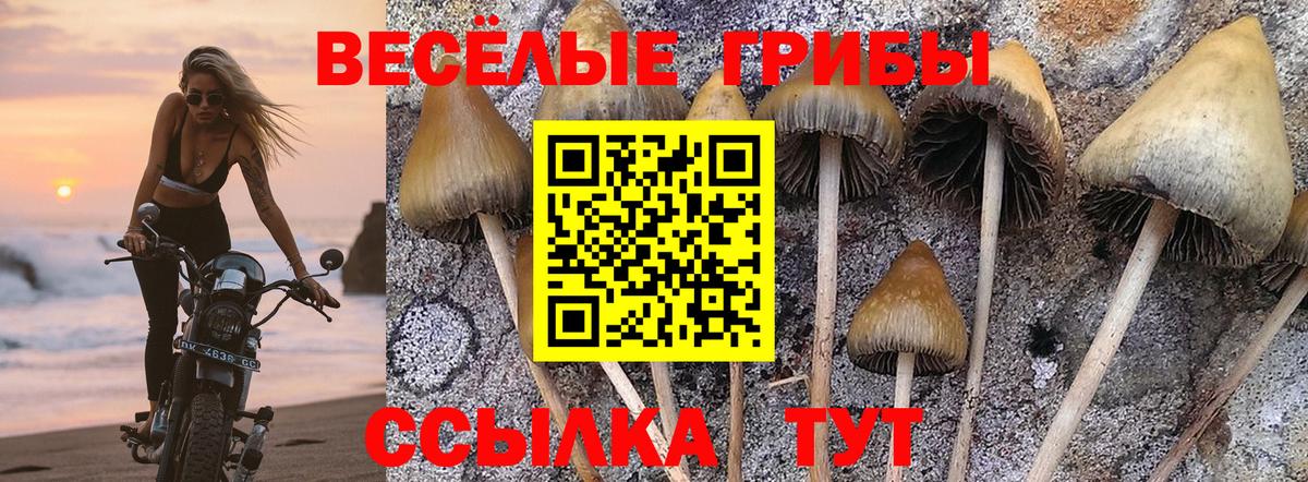 Галлюциногенные грибы мицелий Лангепас
